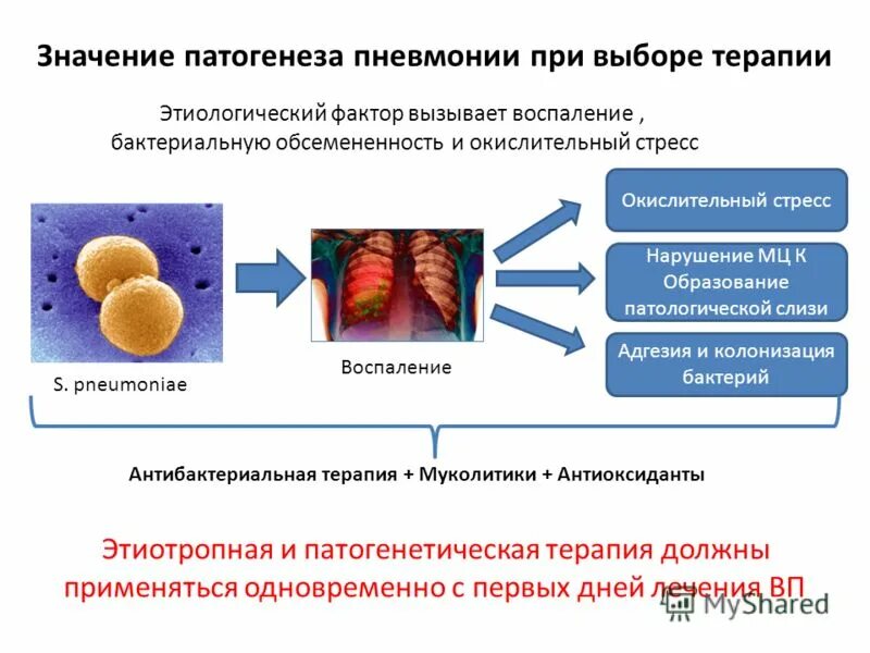 Значение этиологии