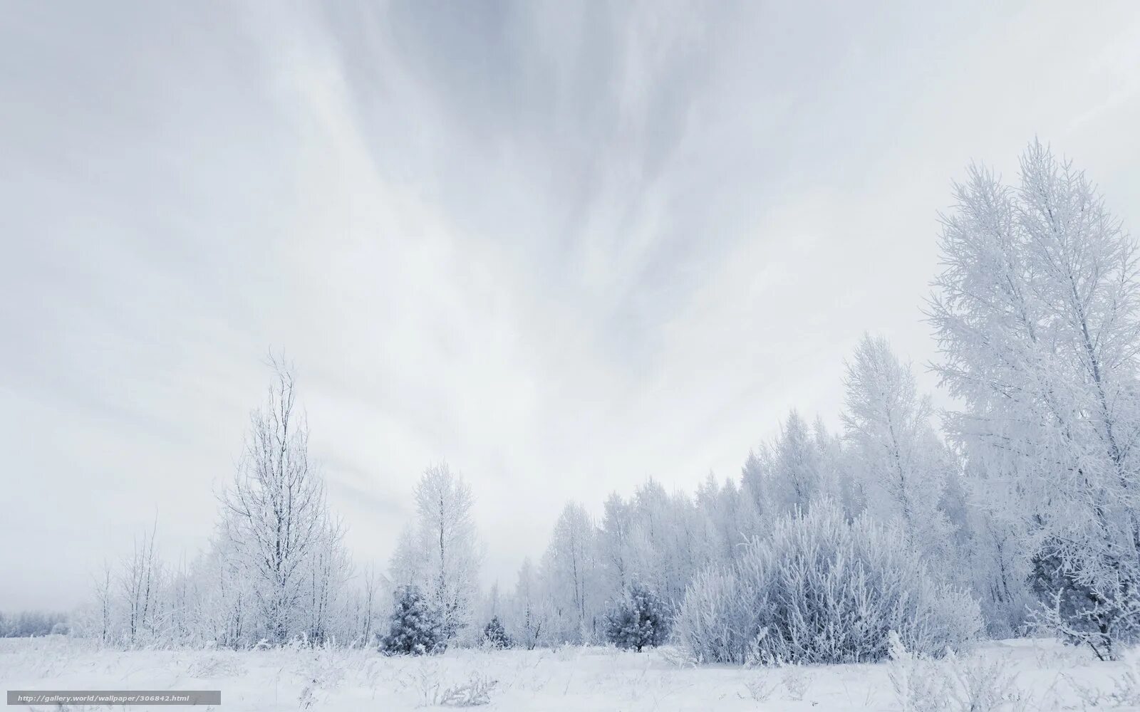 Горы в дымке. Dark forest mist gloom moody arcane brume landscape. Winter brume. Обои зима. Снежный фон.