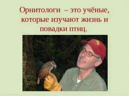 Как называются ученые изучающие птиц