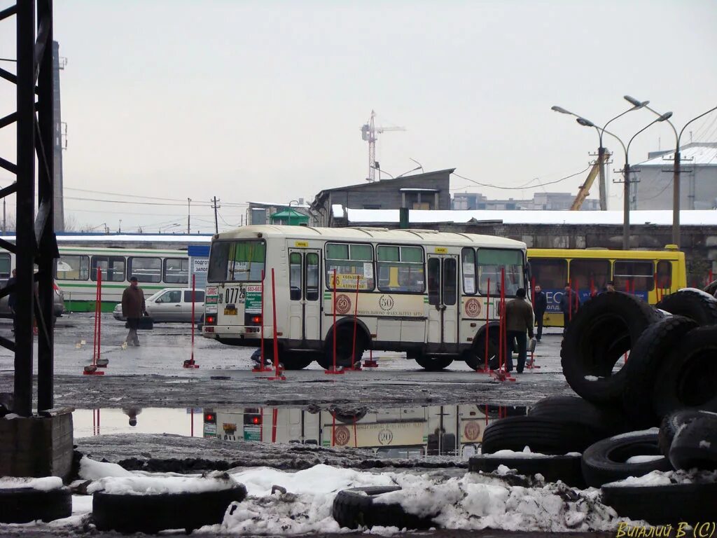 Автостанция Архангельск. Автобусный парк Архангельск. Автобусы Архангельск. Архангельский автобус.