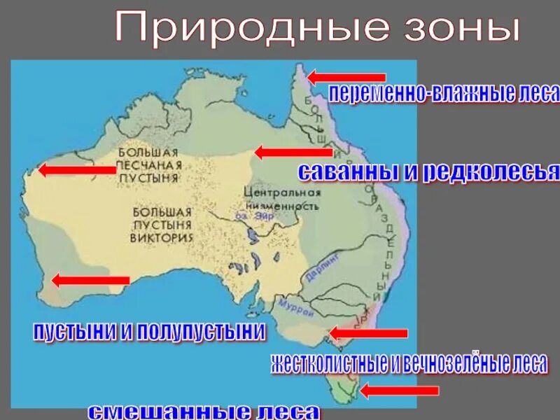 Географическое положение влажных лесов в австралии. Карта природных зон австралии. переменно влажные леса в австралии на карте. саванны австралии на карте.