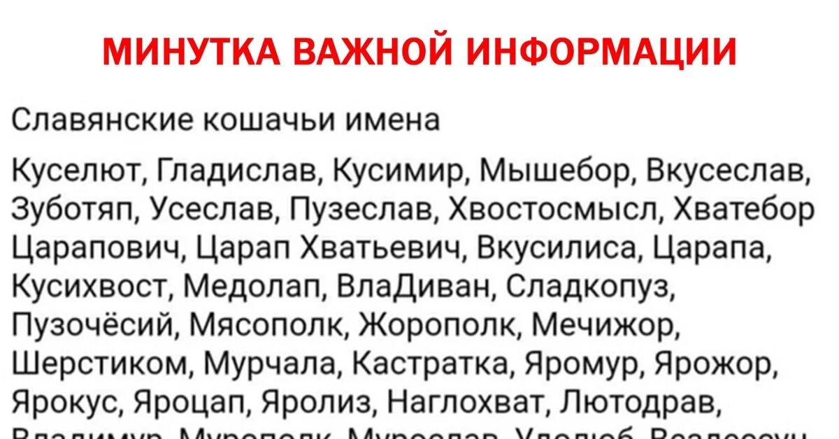 Древнерусские имена мальчиков. Славянские и Ена котов. Смешные славянские имена. Древнеславянские имена кошек. Старорусские имена для котов.