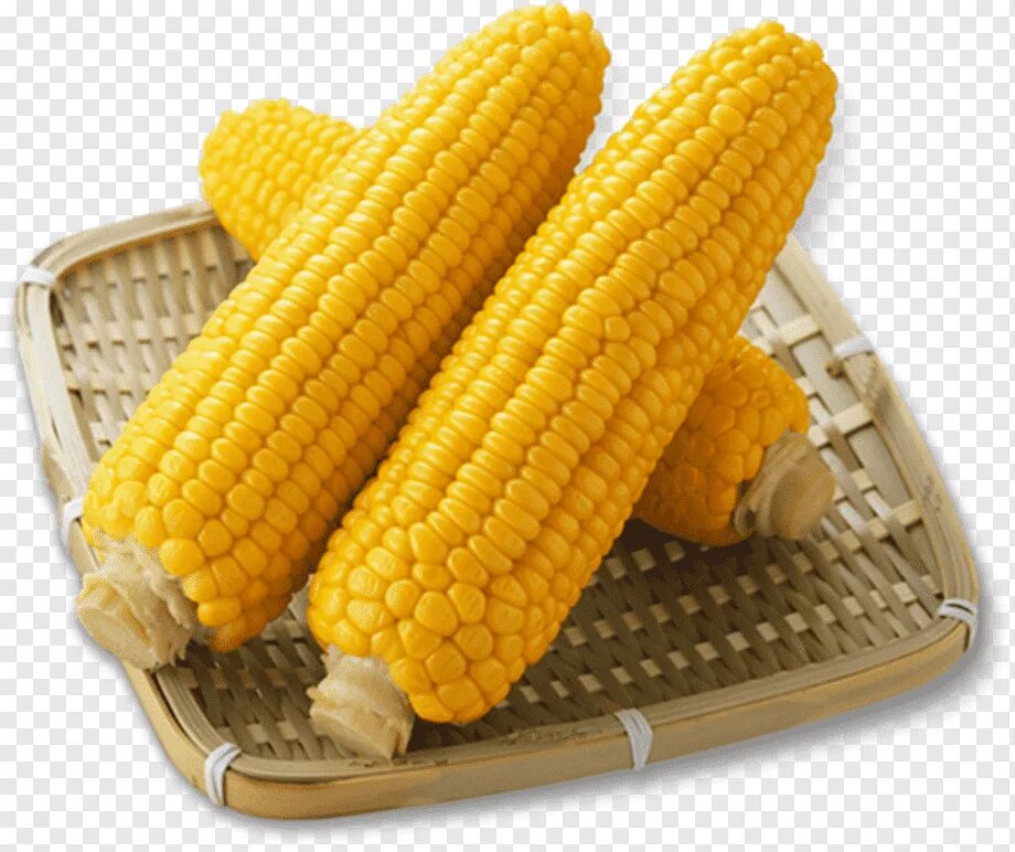 Corn кукуруза. Кукуруза Sweet Corn. Восковидная кукуруза початок. Желтая кукуруза. Вареная кукуруза.