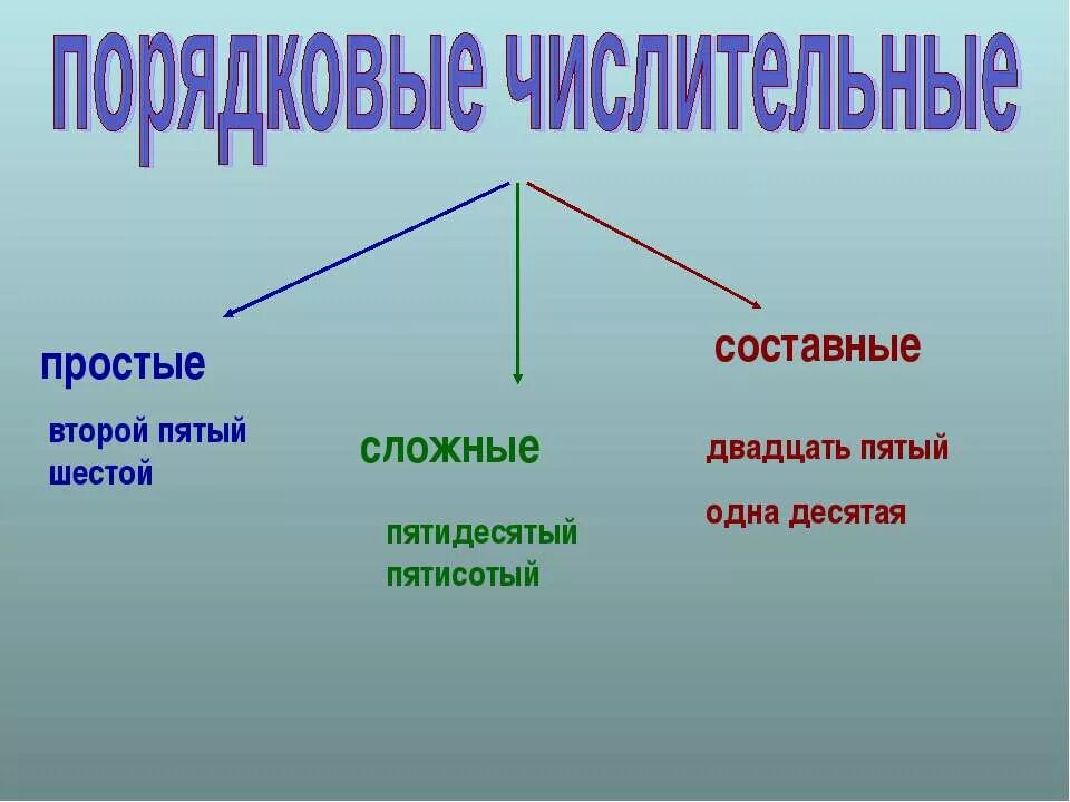Порядковые числительные примеры предложений Сколько порядковых числительных в предложении 1