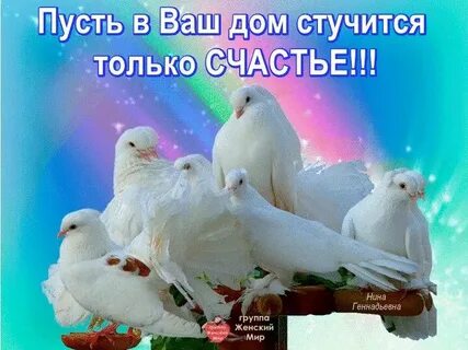 Пусть пришлют