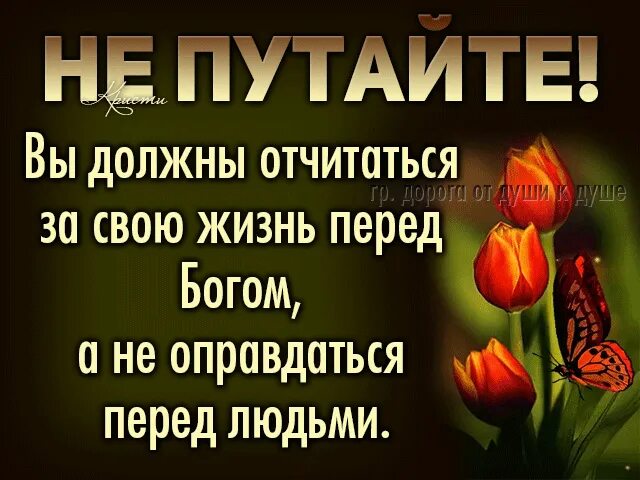 Пусть живет своей жизнью. Никогда ни перед кем не оправдывайся. Никогда и никому не надо доказывать какой вы человек. Никогда не перед кем не оправдывайся особенно перед теми кто. Никогда никому не доказывай какой ты человек.