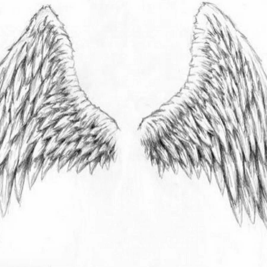 Крылья эскиз. Крылья для срисовки карандашом. Эскизы татуировок Крылья. Крылья тату эскиз. Крыло ангела читать