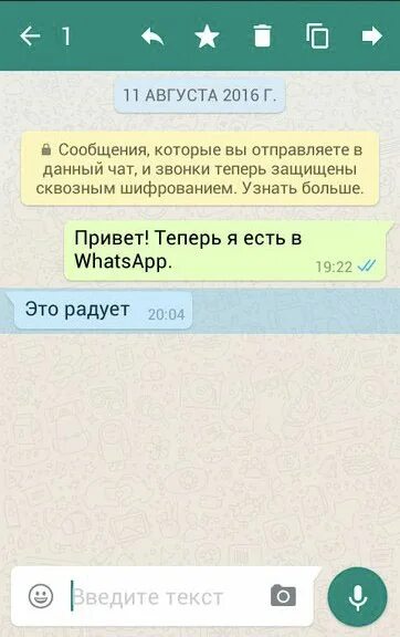 Звездочка в ватсап что значит. Что обозначает Звёздочка в ватсапе в переписке. Значок сообщения в ватсапе. Что в вотс АПЕ означает Звёздочка. Почему ватсап одна галочка при отправке сообщения