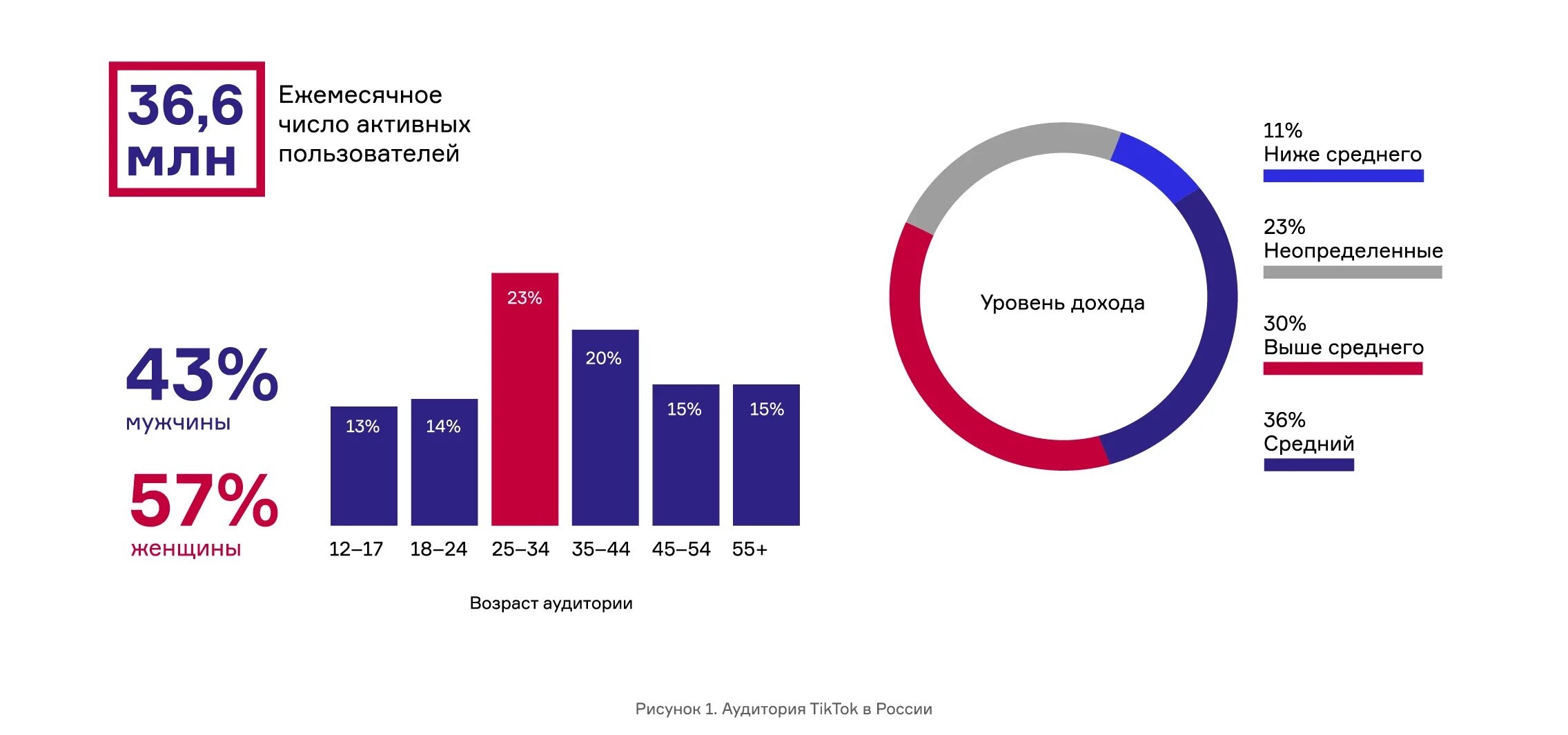 Сколько тик токов есть. Тик ток статистика пользователей. Возраст пользователей тик ток. Аудитория тик ток. Аудитория ТИКТОК В России.