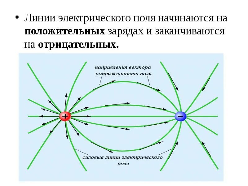 Напряженность электрического поля рисунок. Силовые линии электростатического поля начинаются на. Линии напряженности электрического поля положительного заряда. Линии напряженности двух отрицательных зарядов. Силовые линии двух отрицательных зарядов.