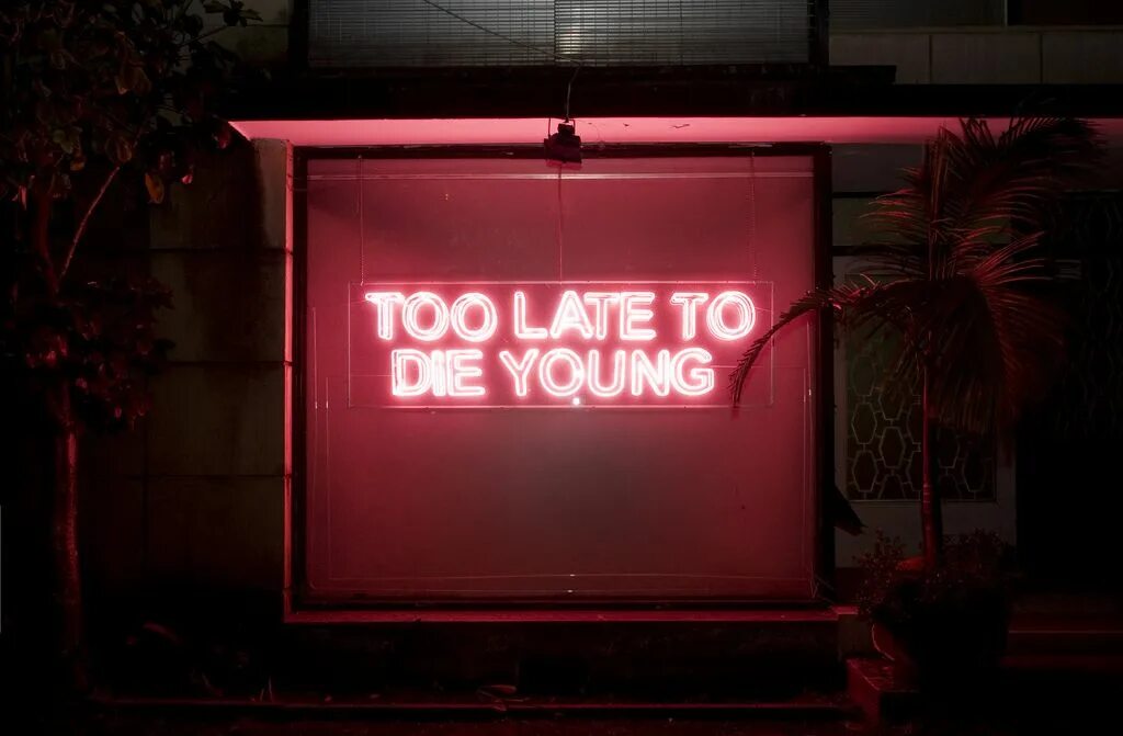 Too too net. Too late to die young. too late to die young вывеска. неоновые надписи в кафе. неоновая вывеска смерть.