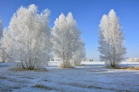Омская область зимой