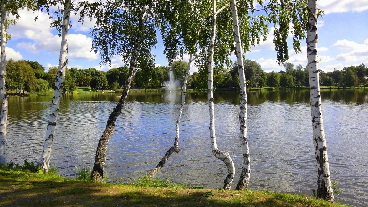 Встреча рассвета. Созерцание природы. Незабудки на берегу реки. Слушать береги реки. Два берега любви.