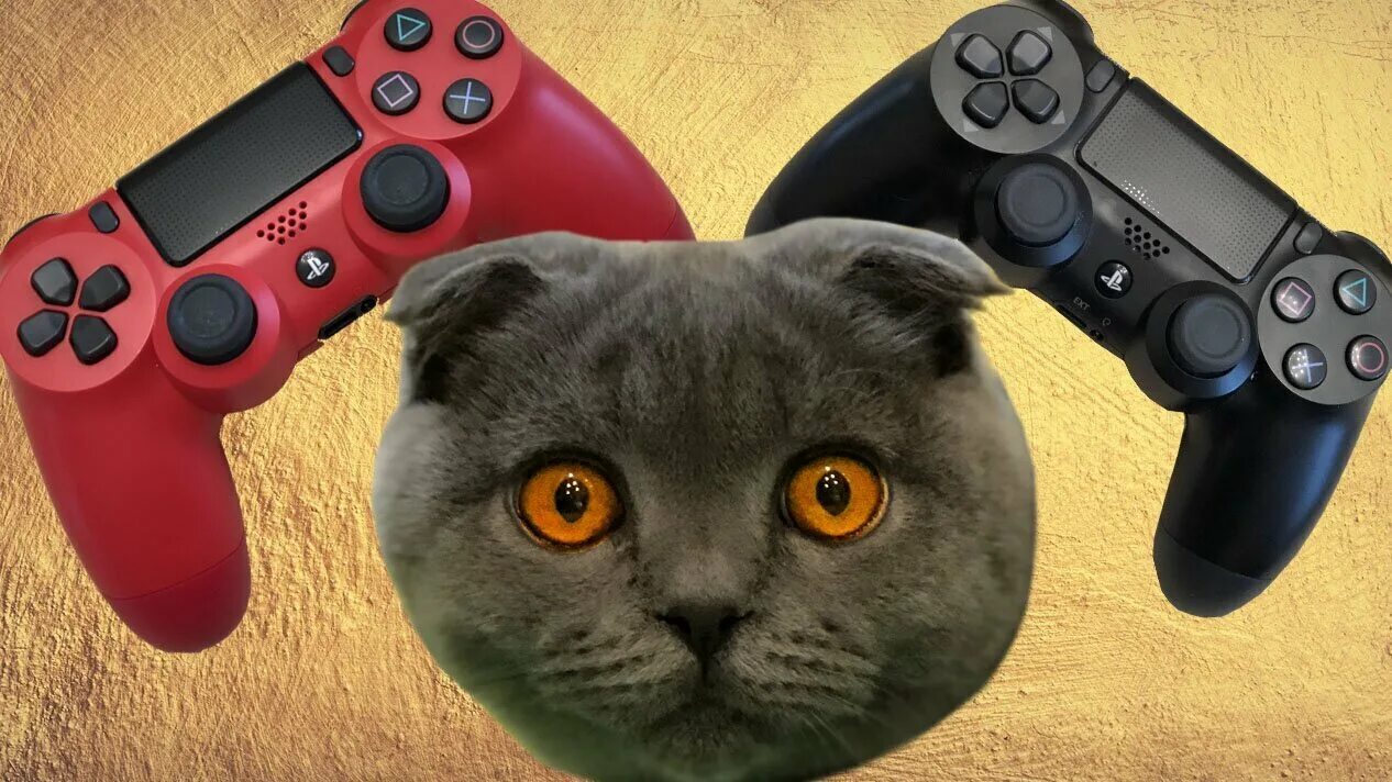 Кот гейм. Кот playstation. кот с приставкой. котик с приставкой. игровая консоль котик.