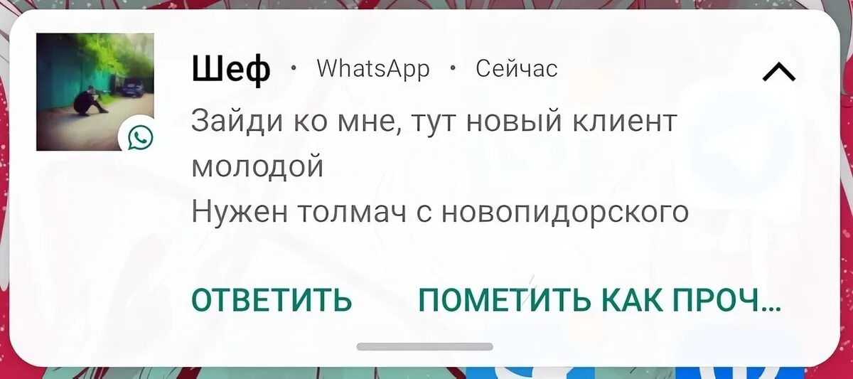 Тута нова. Переводчик с новопидорского. Нужен Толмач с новопидорского. Толмач с новопидарского Мем. Переводчик с новопидорского Мем.