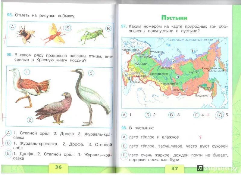 Окружающий мир 4 класс. Окружающий мир. Тесты. 4 Класс. Окружающий мир Плешаков тесты. Темы по окружающими миру 4 класс. Тест окруж мир 4 класс