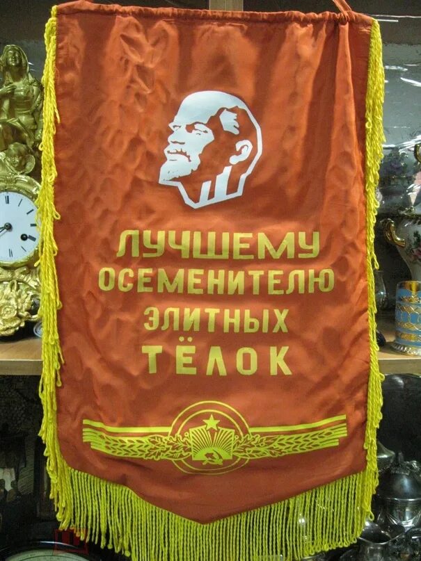 Осеменитель и жизнь с загипнотизированной