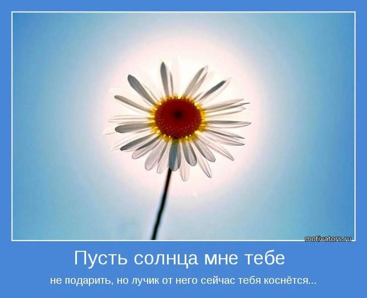 Лучик кома