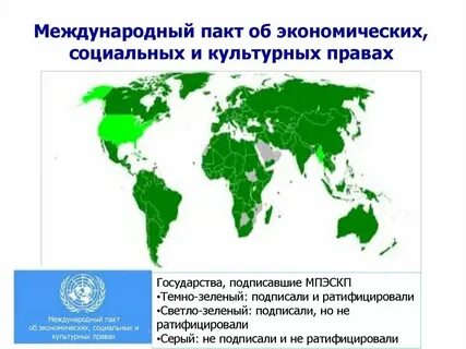 Комитет по экономическим и культурным правам