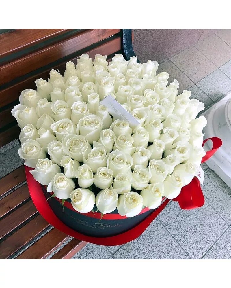 Цветы 99 роз. 100 Белых роз.