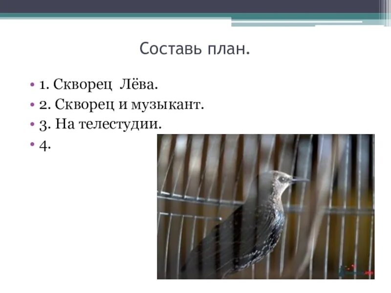 Стихотворение заболоцкого уступи мне скворец. Скворец Лева план. Изложение скворец Лева по плану. Изложение скворец музыкант. Скворец лёва изложение 3 класс.