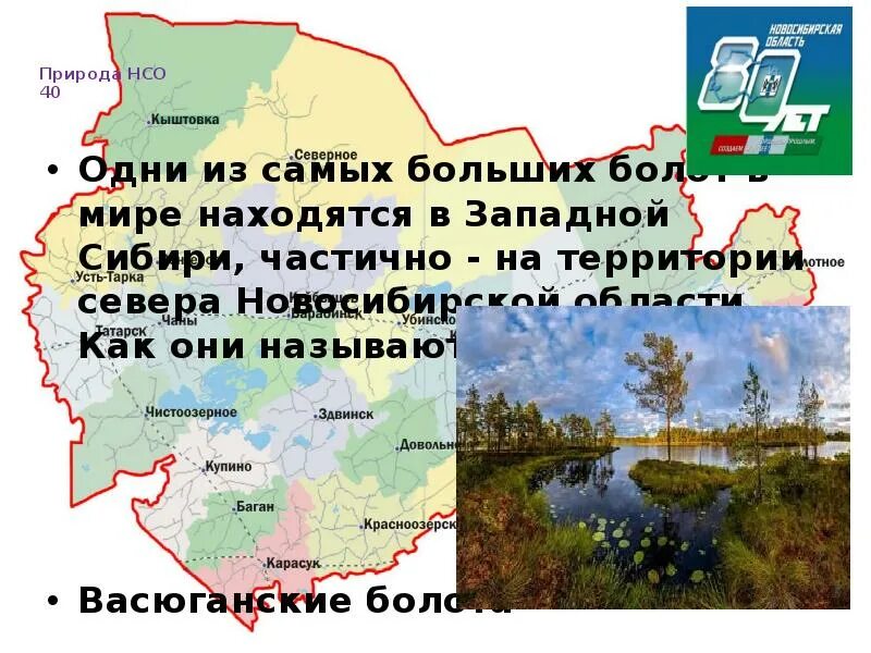 В какой природной зоне находится новосибирская. Васюганские болота на карте Западной Сибири. Болото в Новосибирской области. Васюганский заповедник на карте. Природные зоны Новосибирской области.