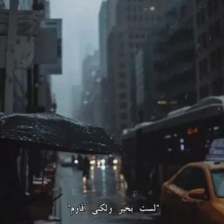 ALex Ripo (@ALexRipo1) X 