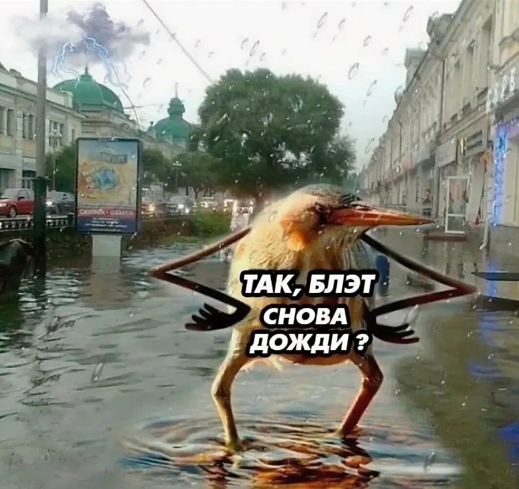 Там хорошо где нет дождя