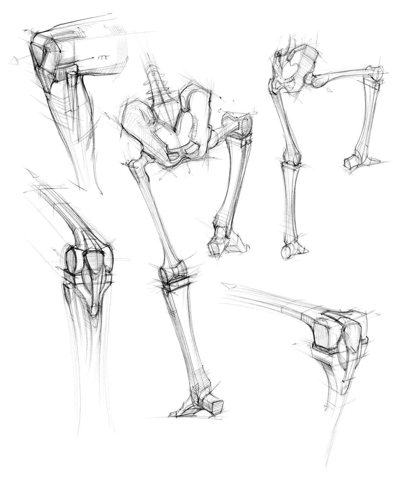 Строение конечностей рисунок. Скелет стопы человека Рефенес. Стопы человека референс скелет. Анатомия скелета референс. Ноги скелета референс.
