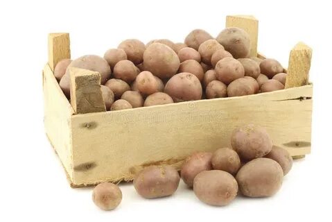 Картофель вишня