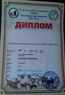 Тройки в дипломе