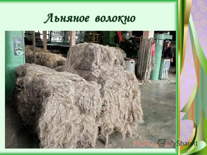 Растение для производства ткани. Лен волокно. Ткани из льняных волокон. Ткань натуральных волокон льна. Волокно из льна.