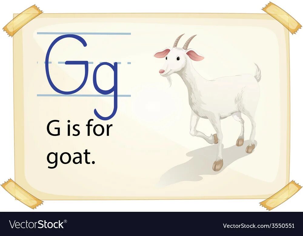 Goat flashcards for kids карточки. Goat транскрипция. Goat английском произношение. Части тела животного на англ. Коза по английскому с транскрипцией.