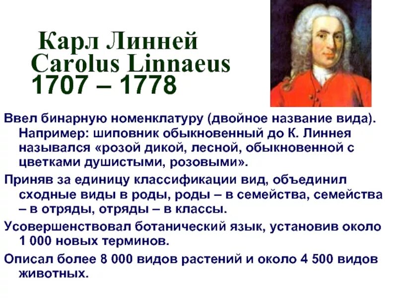 Линней является автором первого эволюционного учения. Карл линней (1707-1778). к.линней - (1707-1778). карл линней биография. к. линнея (1707-1778.