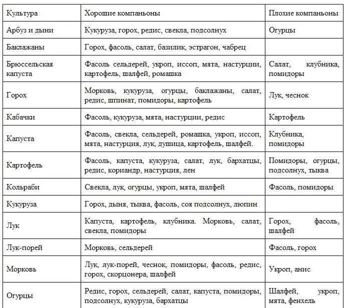 Какие культуры можно сажать рядом. Совместимые посадки овощей в огороде таблица. Совместимость посадок овощей на грядках таблица. Совместимость овощных культур при посадке на грядке таблица. Совместные посадки овощей на грядке таблица.