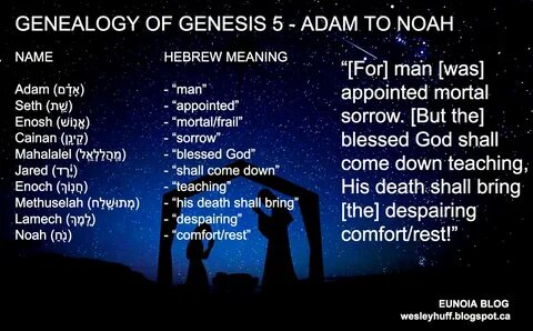 Adamin meaning