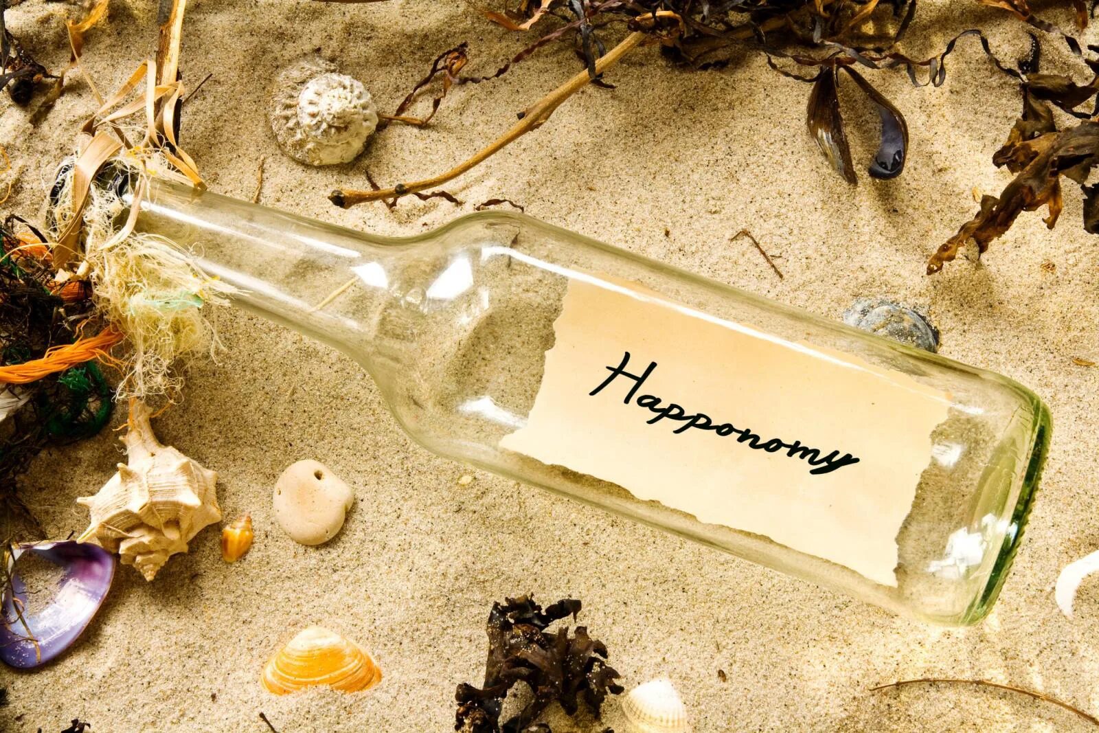 Корабль в бутылке. Послание в бутылке. Butilki v more. Бутылка с запиской в море. Butilki v more.