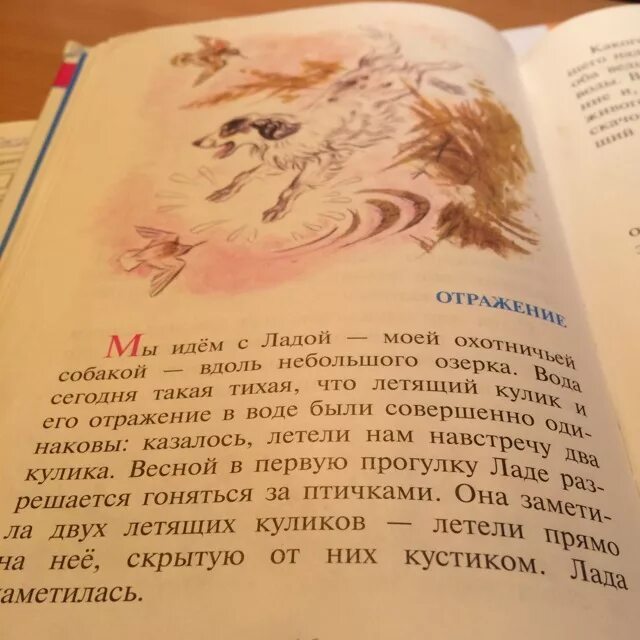 Кто написал рассказ отражение собаки. Мы идём с Ладой моей охотничьей собакой вдоль небольшого Озерка. Пришвин отрывок мы идем сегодня с собакой Ладой. Как пересказать рассказ 15 страниц!?!?!?!?!?!.