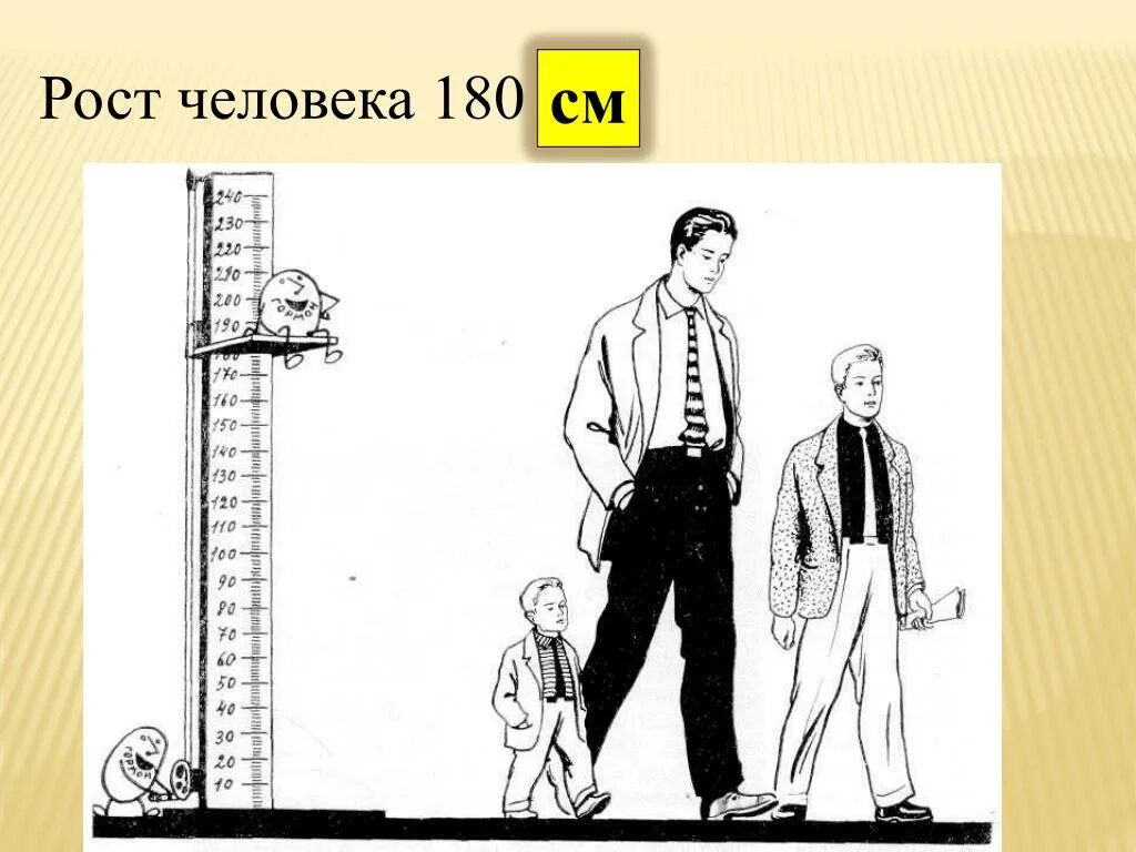 Исследование роста человека. Человечки рост. Рост человека. Рост человека высокий средний низкий. Высокий человек рисунок.