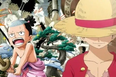 One piece momonosuke