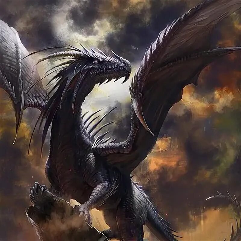 Pin by karen karend2713 on Dragons & dragon related stuff Dragon pictures, Fanta