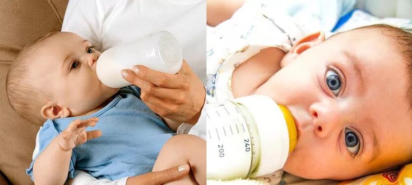 как приучить к бутылочке. вскармливание из бутылочки. бутылка для вскармливания. бутылочки для новорожденных. бутылочка для грудного молока.