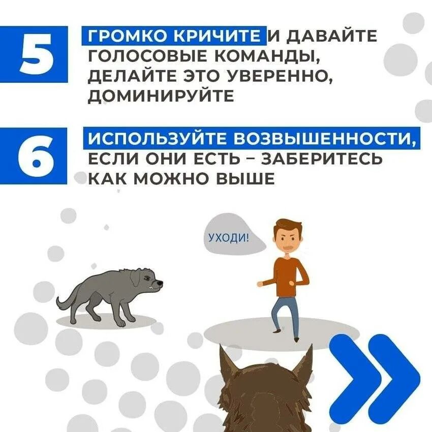 Как вести себя при нападении. Памятки от бездомных собак. Памятка при нападении бродячих собак на детей. Памятка при нападении собаки. Памятка при встрече с бродячими собаками.