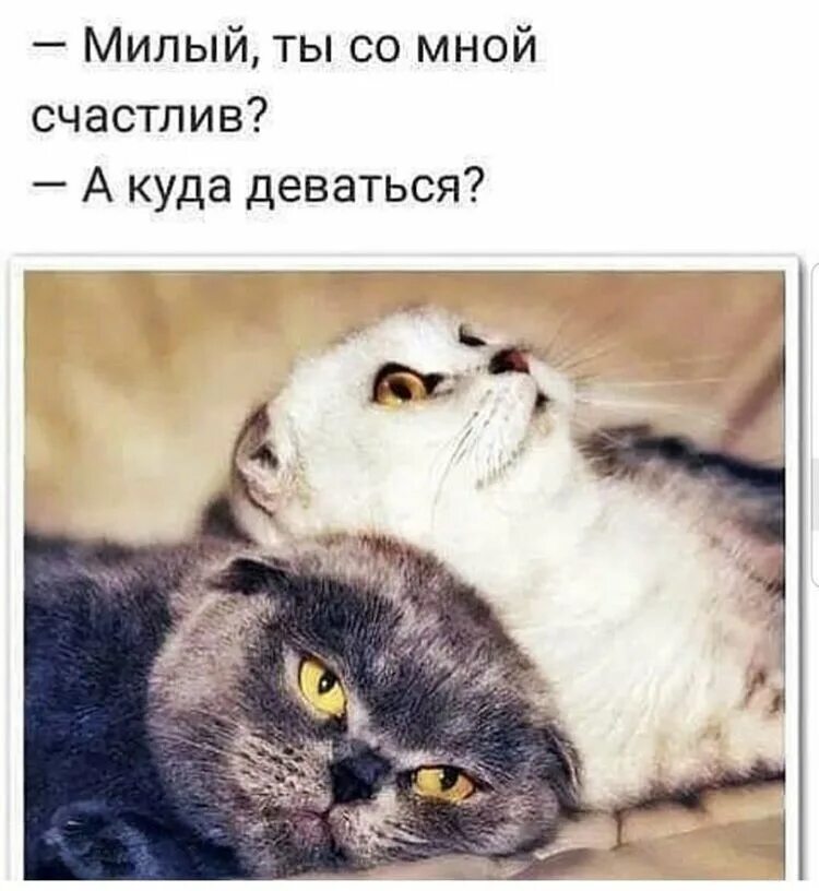 Случайные встречи не случайны. Открытки ты мне нужен. Случайных встреч на свете не бывает. Ты мне нужен. Открытки ты мне нужен.