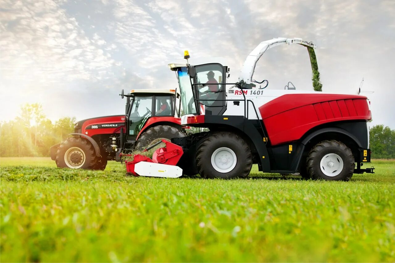 Кормоуборочный комбайн рсм 1401. Сельхозтехника лен обл. Комбайн в поле. Ростсельмаш rsm силосный. Рсм 200 комбайн кормоуборочный.