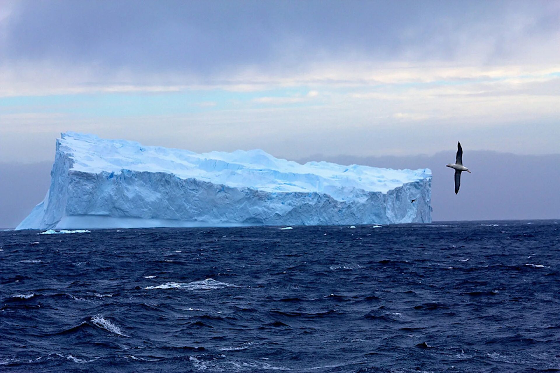 The largest ocean in the world