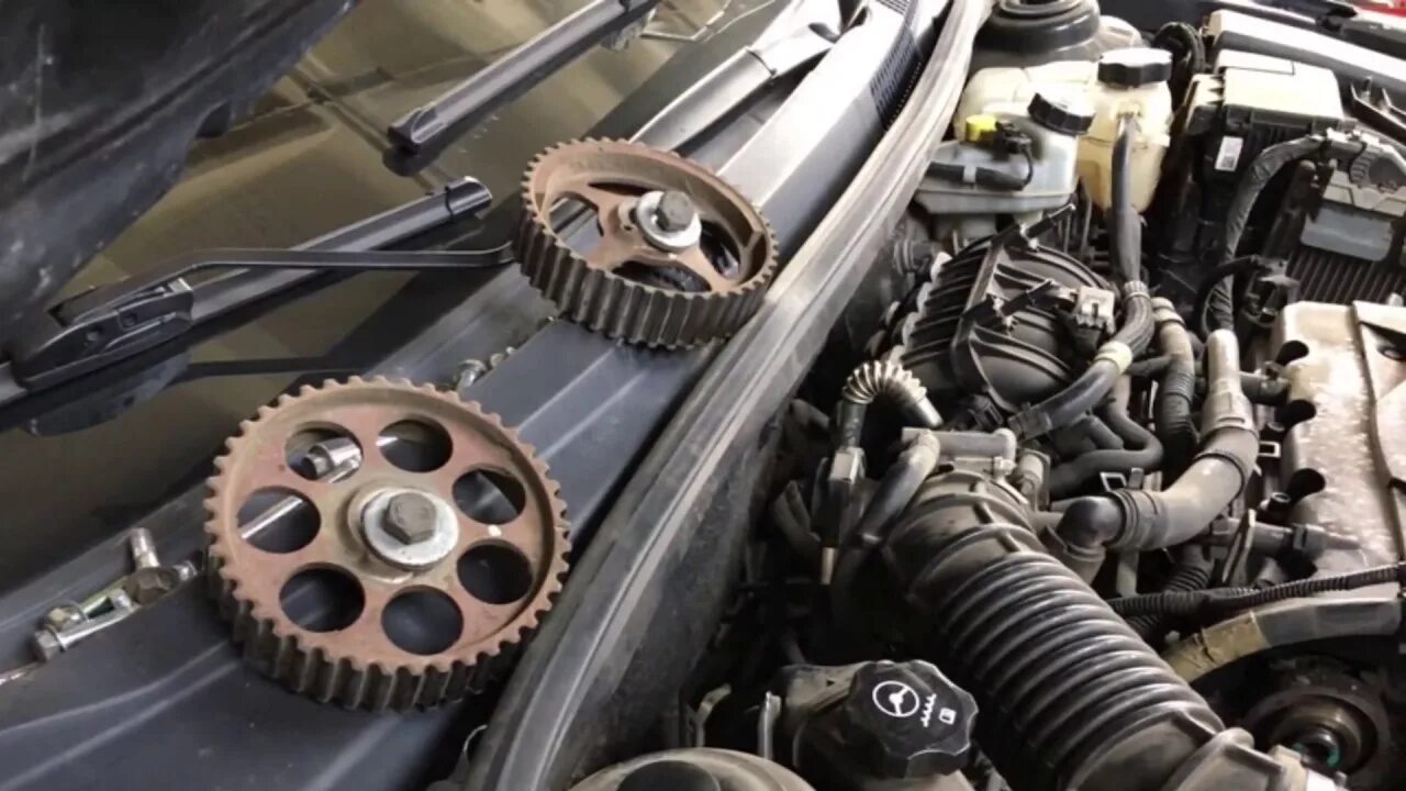 Octavia a7 1. 4. Шевроле круз цепь или ремень. 8. Распредвал шевроле круз 1.