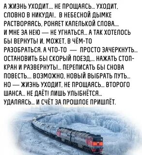 Жизнь будто замерла