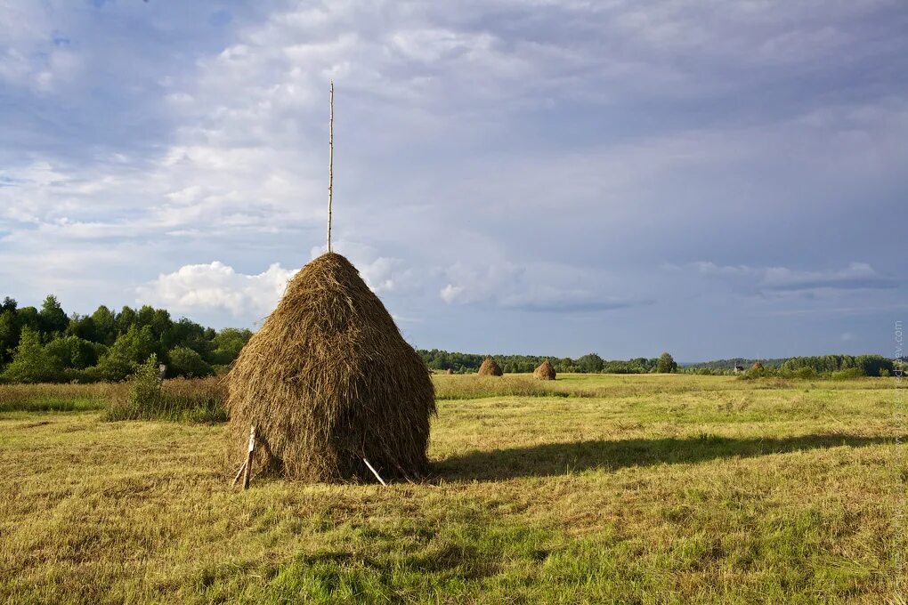 Скирда омёт копна. Калязин. Скирда. Стог.. Скирда соломы. Стог сена Скирда.