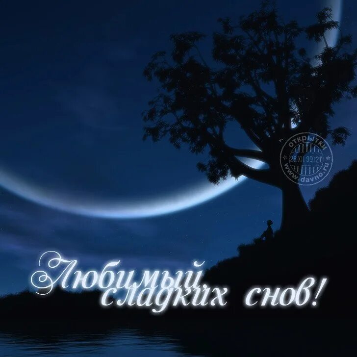 Сладких сновидений. Пожелания спокойной ночи. Спокойной ночи. Пожелания на ночь. Открытки доброй ночи сладких снов мужчине.